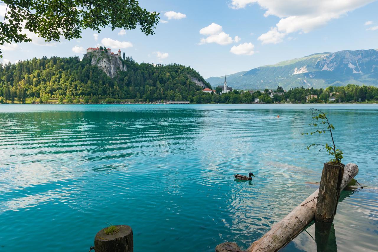 Emona Apartments, Bled Exterior foto